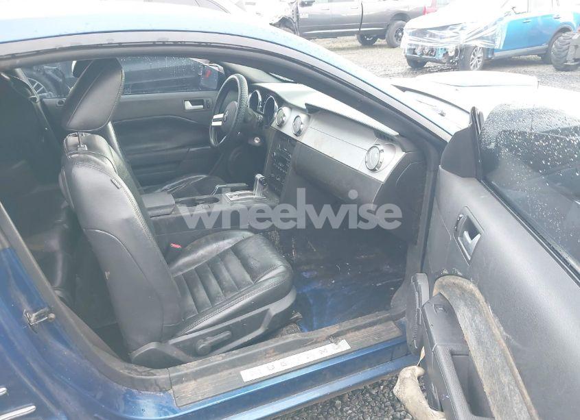 Photo 5 of 2009 Ford Mustang GT/GT PREMIUM (VIN 1ZVHT82H095105825)