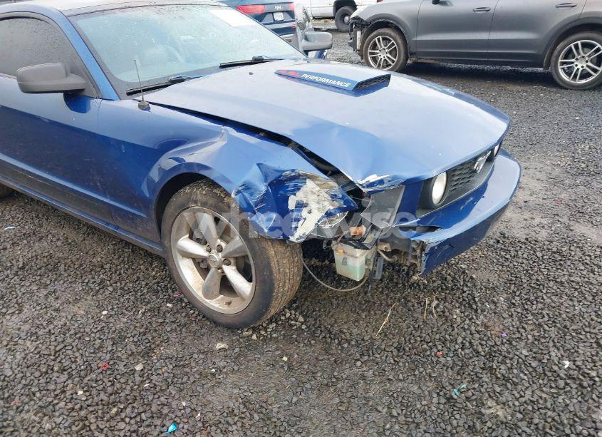 Photo 6 of 2009 Ford Mustang GT/GT PREMIUM (VIN 1ZVHT82H095105825)