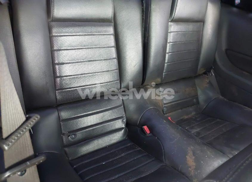 Photo 8 of 2009 Ford Mustang GT/GT PREMIUM (VIN 1ZVHT82H095105825)