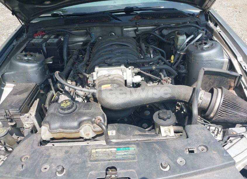 Photo 10 of 2009 Ford Mustang GT/GT PREMIUM (VIN 1ZVHT82H095133740)