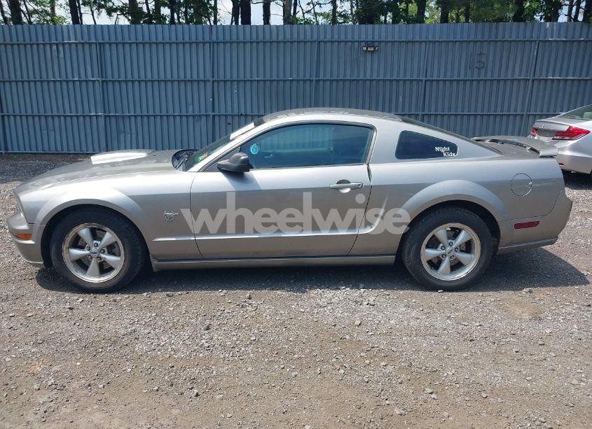 Photo 14 of 2009 Ford Mustang GT/GT PREMIUM (VIN 1ZVHT82H095133740)