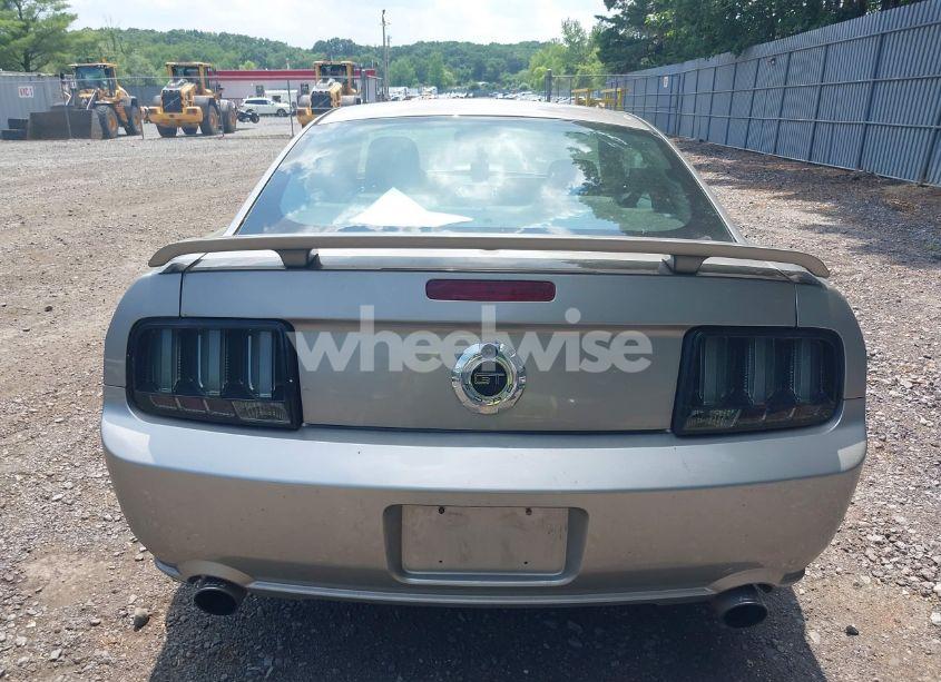 Photo 16 of 2009 Ford Mustang GT/GT PREMIUM (VIN 1ZVHT82H095133740)