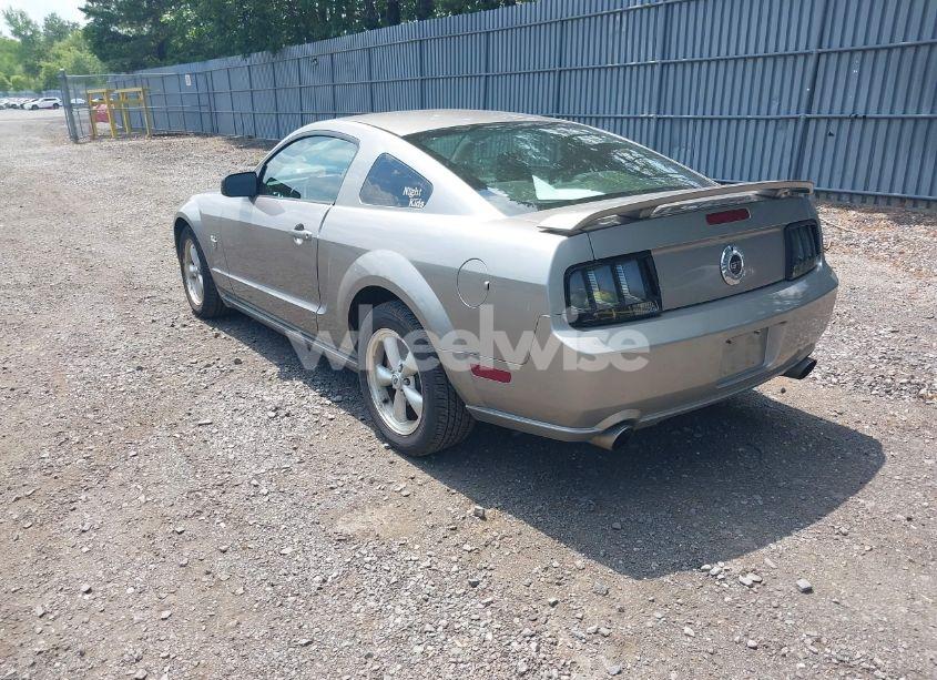 Photo 3 of 2009 Ford Mustang GT/GT PREMIUM (VIN 1ZVHT82H095133740)
