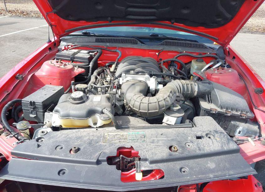 Photo 10 of 2005 Ford Mustang GT DELUXE/GT PREMIUM (VIN 1ZVHT82H155196310)