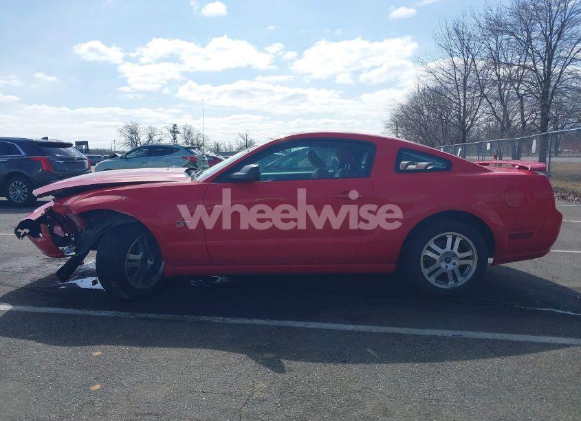 Photo 14 of 2005 Ford Mustang GT DELUXE/GT PREMIUM (VIN 1ZVHT82H155196310)