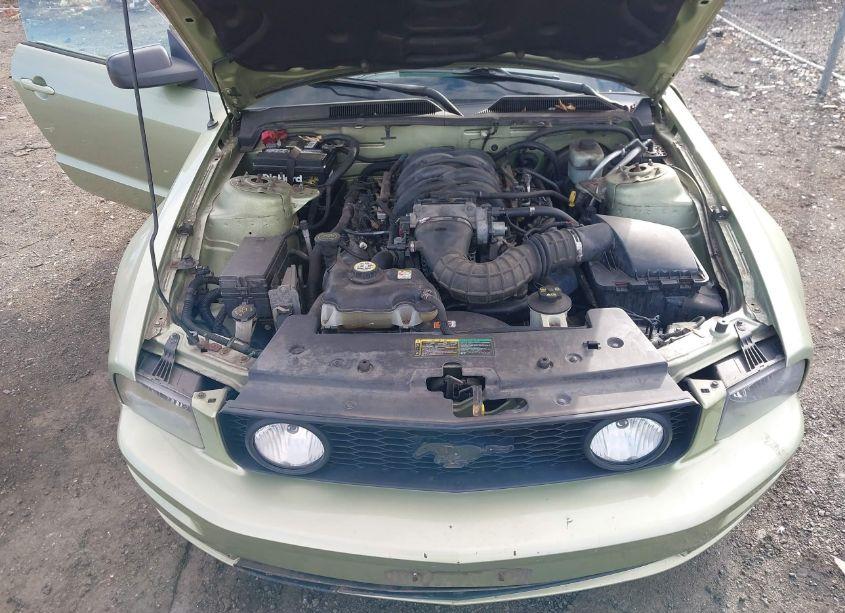 Photo 10 of 2005 Ford Mustang GT DELUXE/GT PREMIUM (VIN 1ZVHT82H155236790)