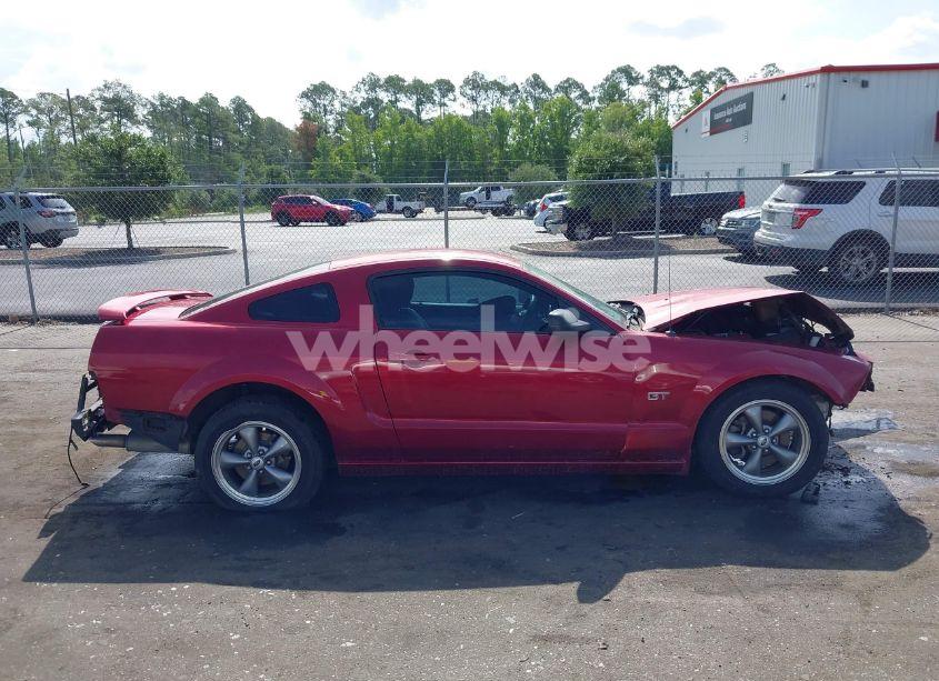 Photo 14 of 2006 Ford Mustang GT (VIN 1ZVHT82H165100743)