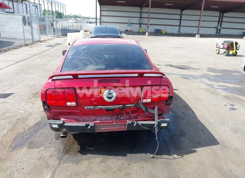 Photo 17 of 2006 Ford Mustang GT (VIN 1ZVHT82H165100743)