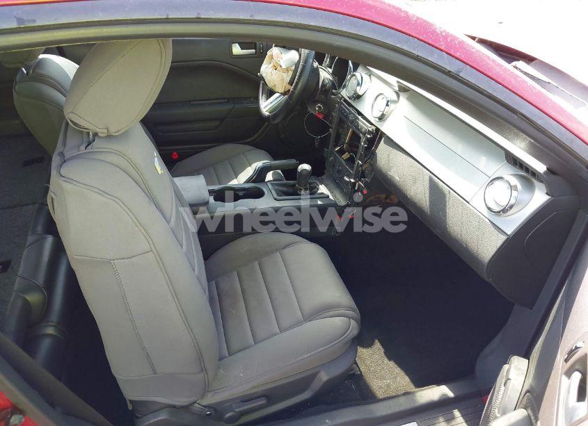 Photo 5 of 2006 Ford Mustang GT (VIN 1ZVHT82H165100743)