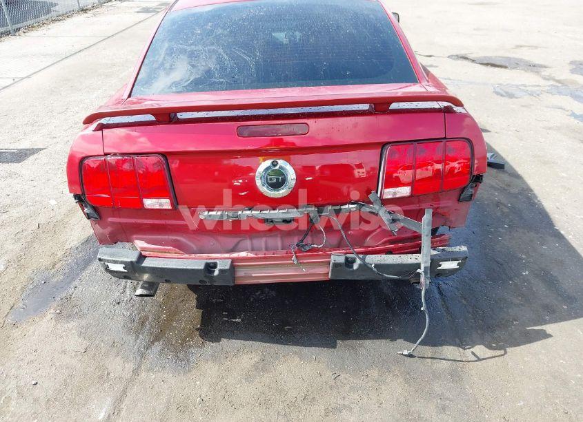 Photo 6 of 2006 Ford Mustang GT (VIN 1ZVHT82H165100743)