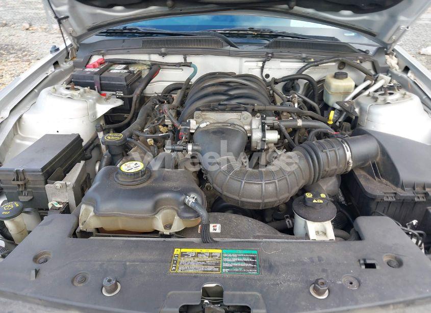 Photo 10 of 2006 Ford Mustang GT (VIN 1ZVHT82H165113704)