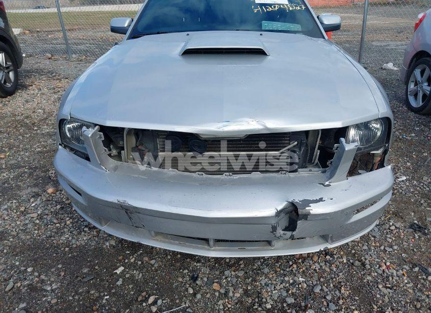 Photo 6 of 2006 Ford Mustang GT (VIN 1ZVHT82H165113704)