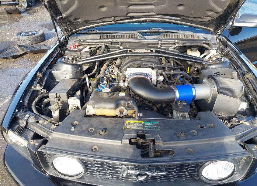 Photo 10 of 2006 Ford Mustang GT (VIN 1ZVHT82H165259410)