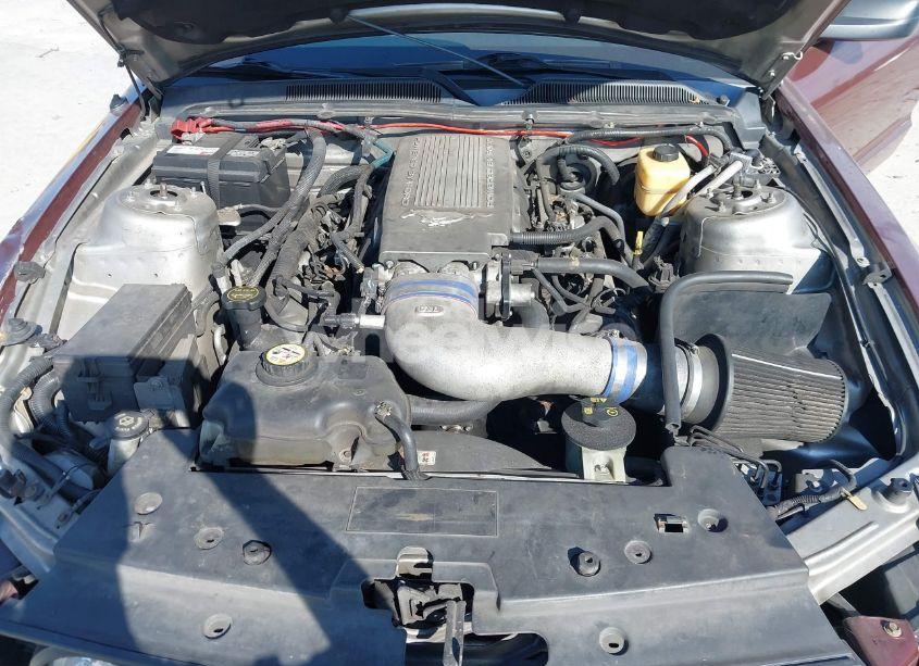 Photo 10 of 2008 Ford Mustang GT DELUXE/GT PREMIUM (VIN 1ZVHT82H185155003)