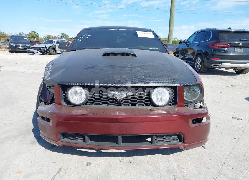 Photo 12 of 2008 Ford Mustang GT DELUXE/GT PREMIUM (VIN 1ZVHT82H185155003)