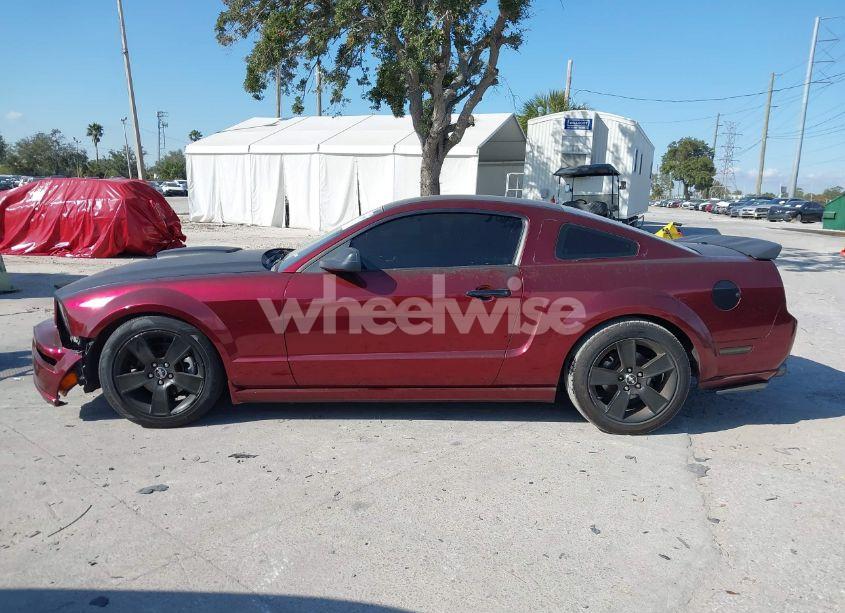Photo 14 of 2008 Ford Mustang GT DELUXE/GT PREMIUM (VIN 1ZVHT82H185155003)