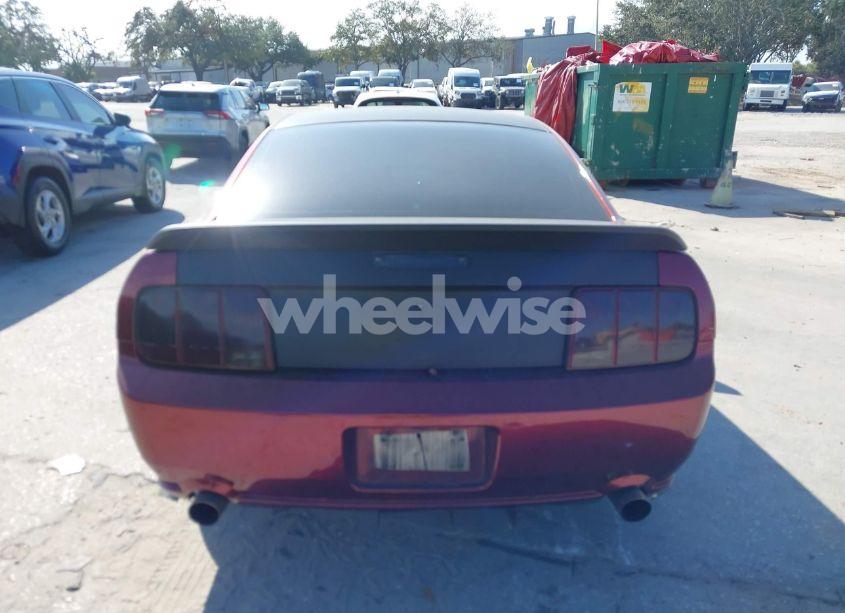 Photo 16 of 2008 Ford Mustang GT DELUXE/GT PREMIUM (VIN 1ZVHT82H185155003)