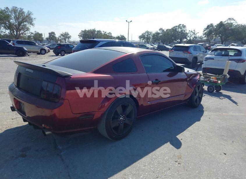 Photo 4 of 2008 Ford Mustang GT DELUXE/GT PREMIUM (VIN 1ZVHT82H185155003)