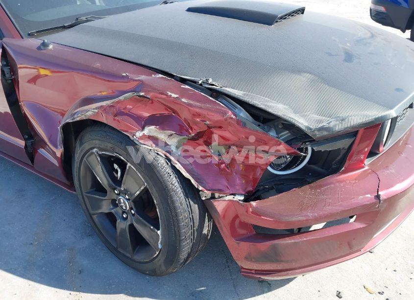 Photo 6 of 2008 Ford Mustang GT DELUXE/GT PREMIUM (VIN 1ZVHT82H185155003)