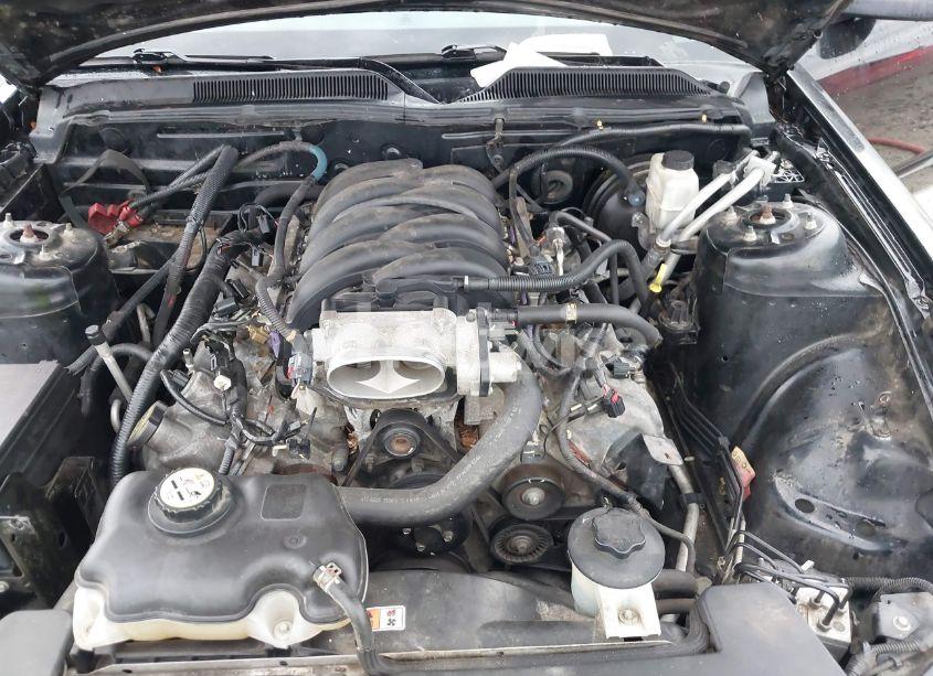 Photo 10 of 2009 Ford Mustang GT PREMIUM (VIN 1ZVHT82H195127431)