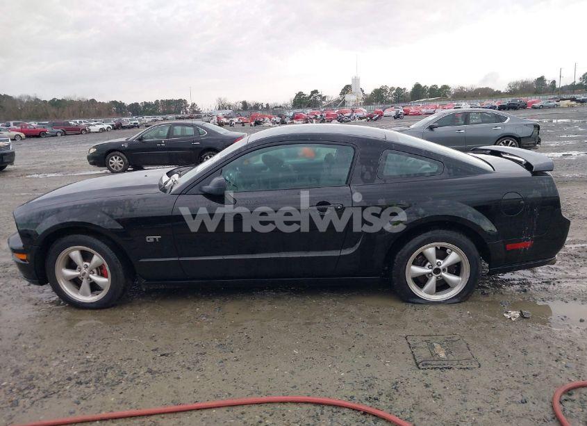 Photo 14 of 2009 Ford Mustang GT PREMIUM (VIN 1ZVHT82H195127431)