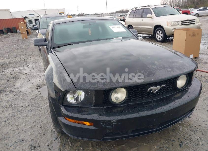 Photo 6 of 2009 Ford Mustang GT PREMIUM (VIN 1ZVHT82H195127431)