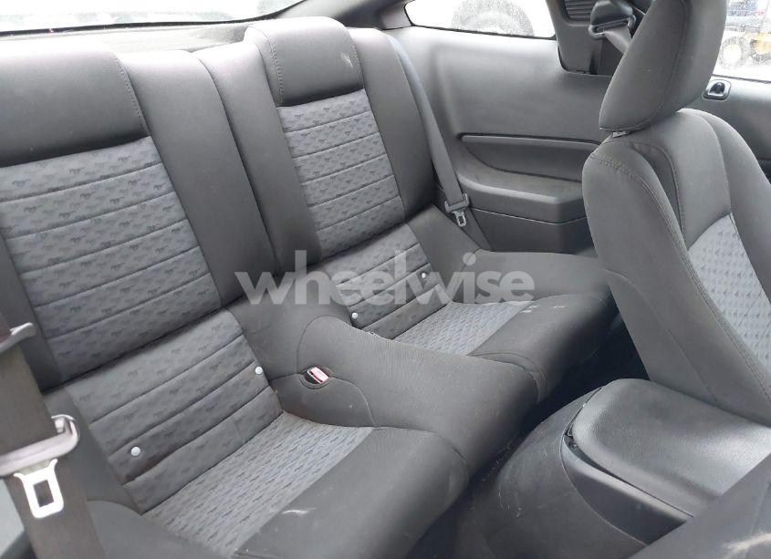 Photo 8 of 2009 Ford Mustang GT PREMIUM (VIN 1ZVHT82H195127431)