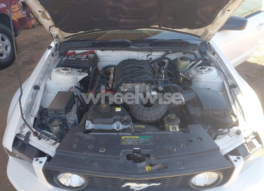 Photo 10 of 2005 Ford Mustang GT DELUXE/GT PREMIUM (VIN 1ZVHT82H255219660)