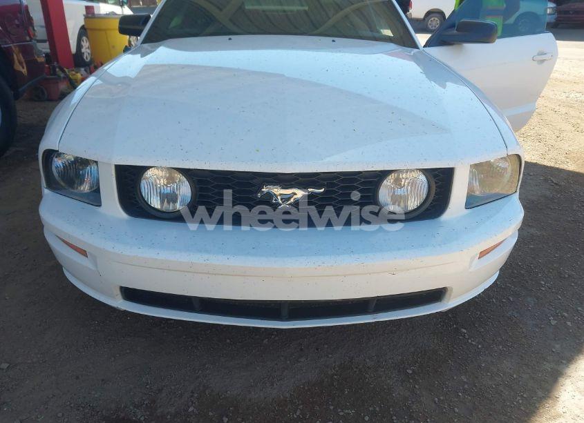 Photo 6 of 2005 Ford Mustang GT DELUXE/GT PREMIUM (VIN 1ZVHT82H255219660)