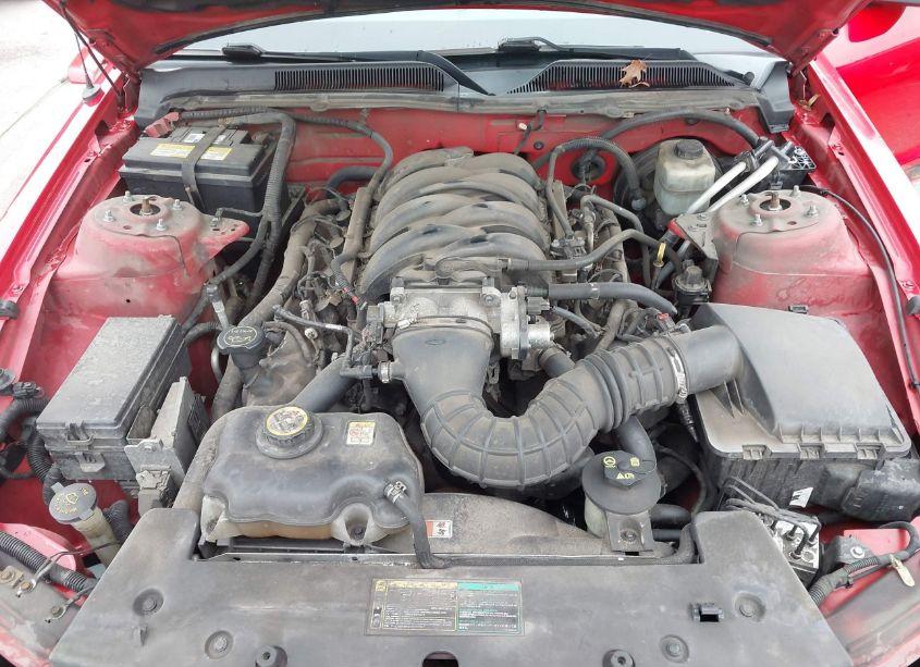 Photo 10 of 2005 Ford Mustang GT DELUXE/GT PREMIUM (VIN 1ZVHT82H255236118)