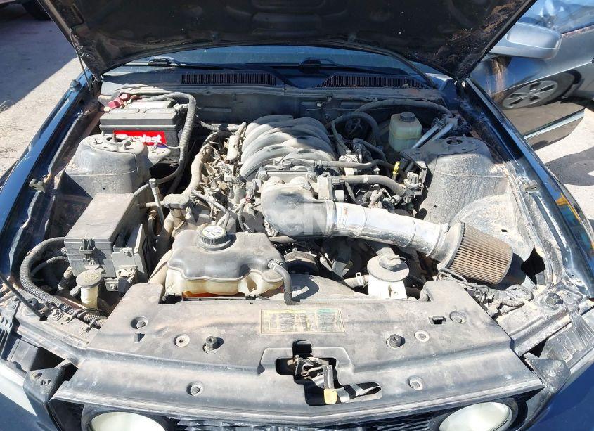 Photo 10 of 2006 Ford Mustang GT (VIN 1ZVHT82H265136232)