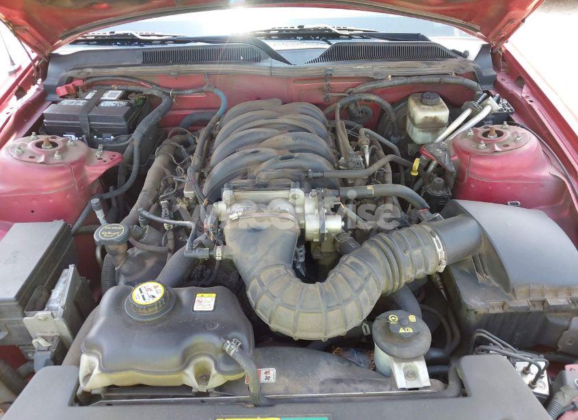 Photo 10 of 2006 Ford Mustang GT (VIN 1ZVHT82H265256192)