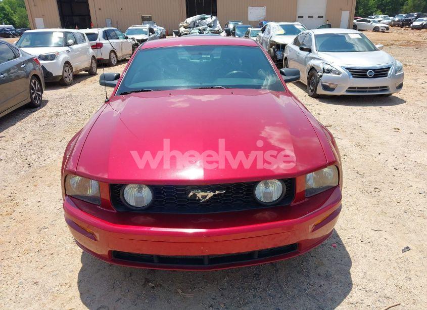 Photo 12 of 2006 Ford Mustang GT (VIN 1ZVHT82H265256192)