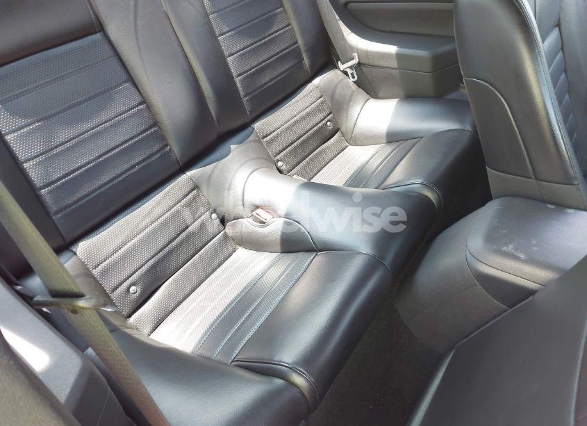 Photo 8 of 2006 Ford Mustang GT (VIN 1ZVHT82H265256192)