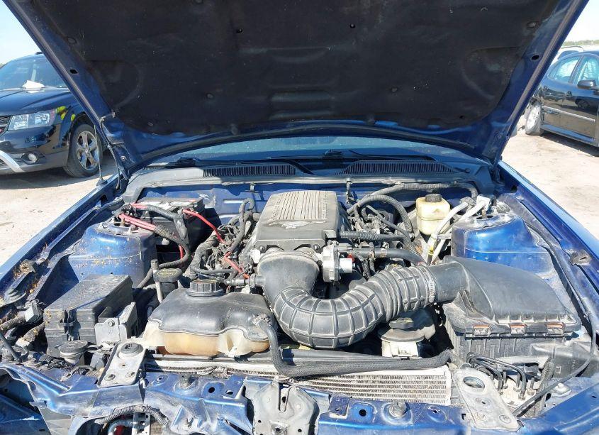 Photo 10 of 2007 Ford Mustang GT DELUXE/GT PREMIUM (VIN 1ZVHT82H275224831)