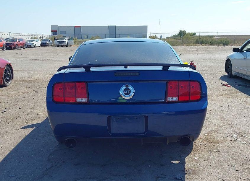 Photo 16 of 2007 Ford Mustang GT DELUXE/GT PREMIUM (VIN 1ZVHT82H275224831)