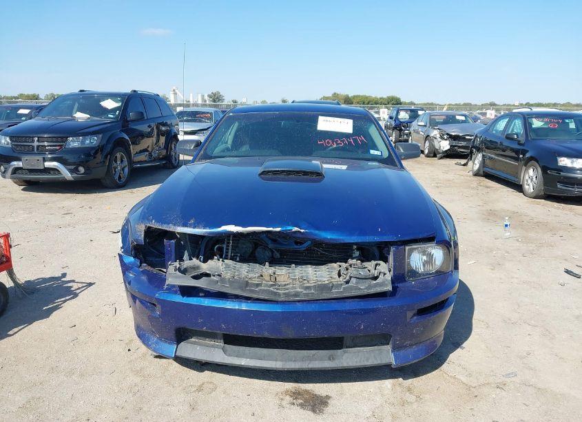 Photo 6 of 2007 Ford Mustang GT DELUXE/GT PREMIUM (VIN 1ZVHT82H275224831)