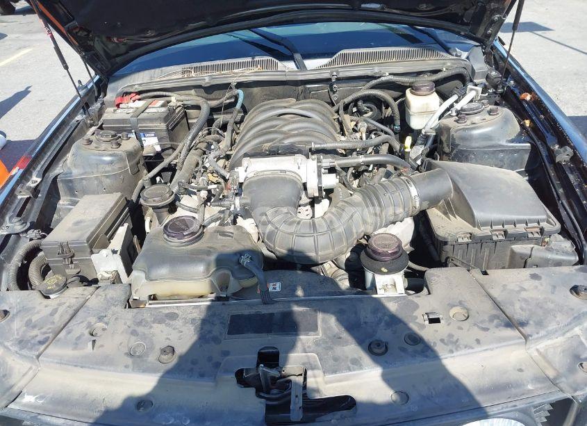 Photo 10 of 2007 Ford Mustang GT DELUXE/GT PREMIUM (VIN 1ZVHT82H275285063)