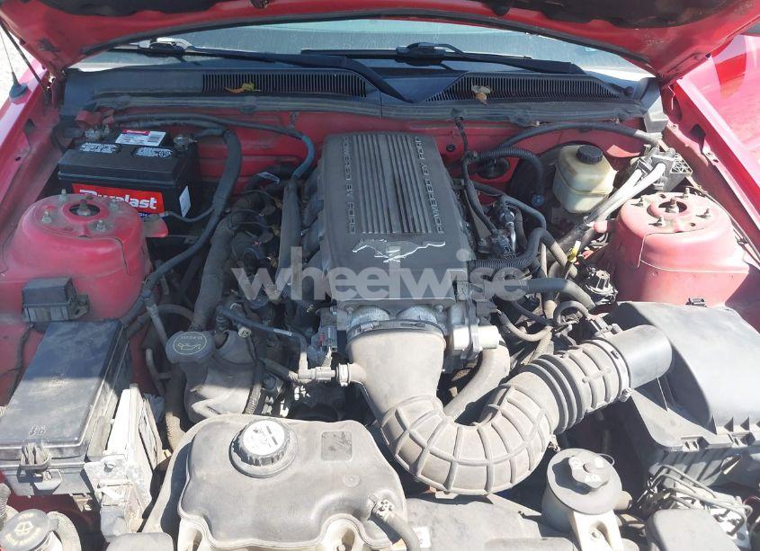 Photo 10 of 2008 Ford Mustang GT DELUXE/GT PREMIUM (VIN 1ZVHT82H285184963)