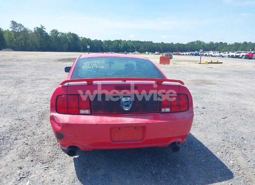 Photo 16 of 2008 Ford Mustang GT DELUXE/GT PREMIUM (VIN 1ZVHT82H285184963)