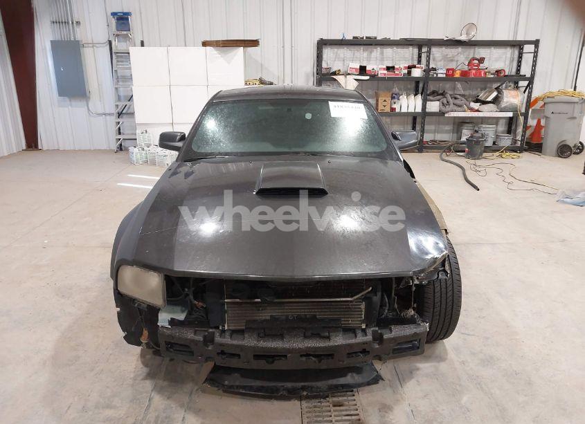 Photo 13 of 2008 Ford Mustang GT DELUXE/GT PREMIUM (VIN 1ZVHT82H285206346)