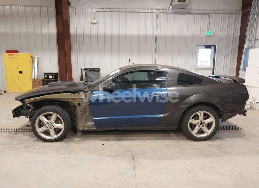 Photo 15 of 2008 Ford Mustang GT DELUXE/GT PREMIUM (VIN 1ZVHT82H285206346)
