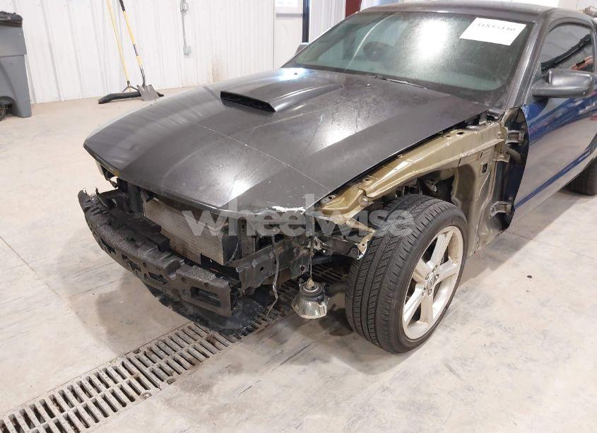 Photo 6 of 2008 Ford Mustang GT DELUXE/GT PREMIUM (VIN 1ZVHT82H285206346)