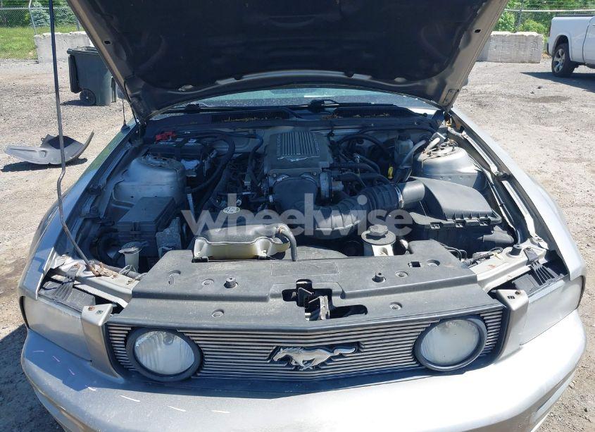 Photo 10 of 2009 Ford Mustang GT/GT PREMIUM (VIN 1ZVHT82H295123520)