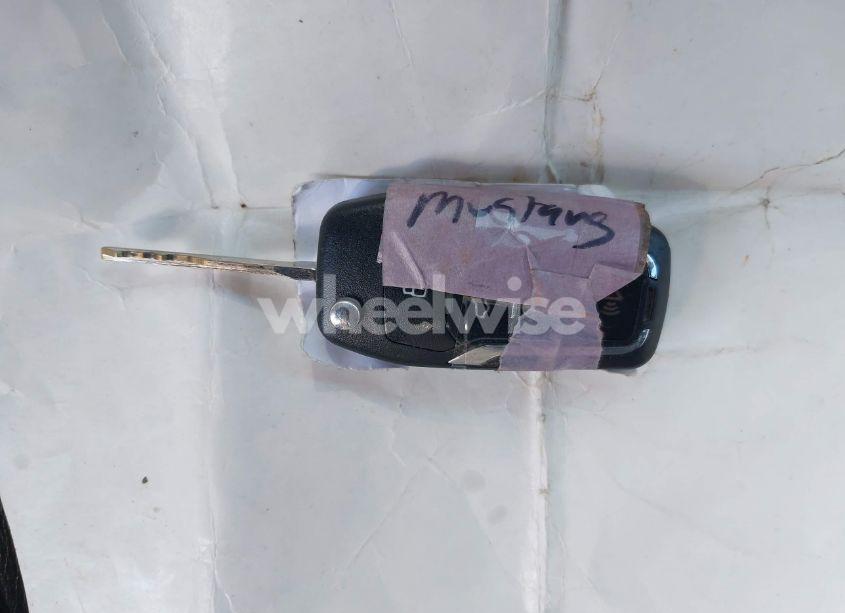 Photo 11 of 2009 Ford Mustang GT/GT PREMIUM (VIN 1ZVHT82H295123520)