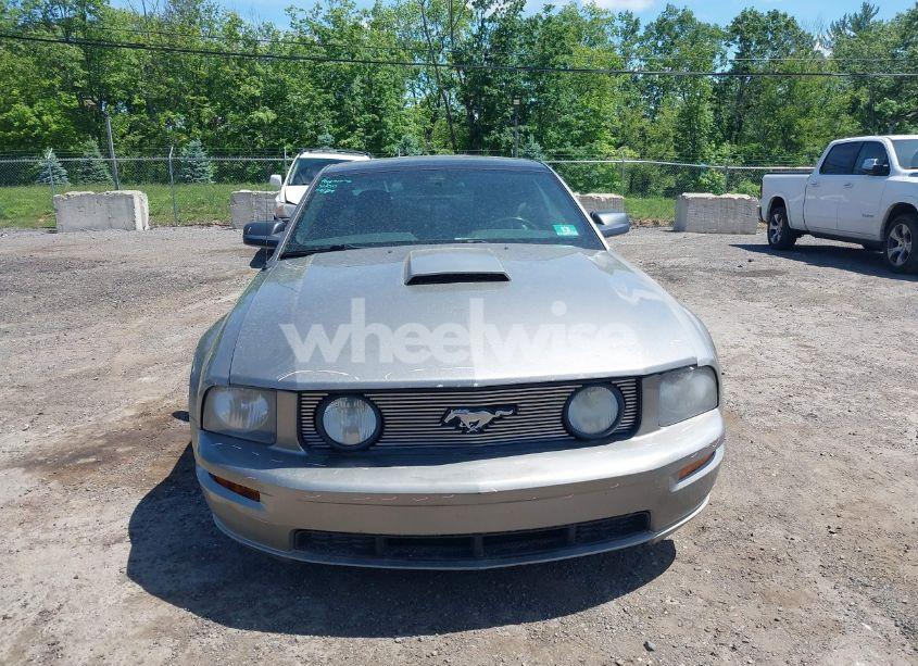 Photo 13 of 2009 Ford Mustang GT/GT PREMIUM (VIN 1ZVHT82H295123520)