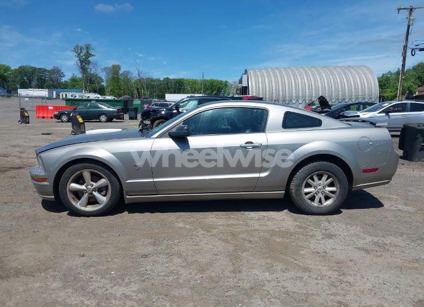 Photo 15 of 2009 Ford Mustang GT/GT PREMIUM (VIN 1ZVHT82H295123520)