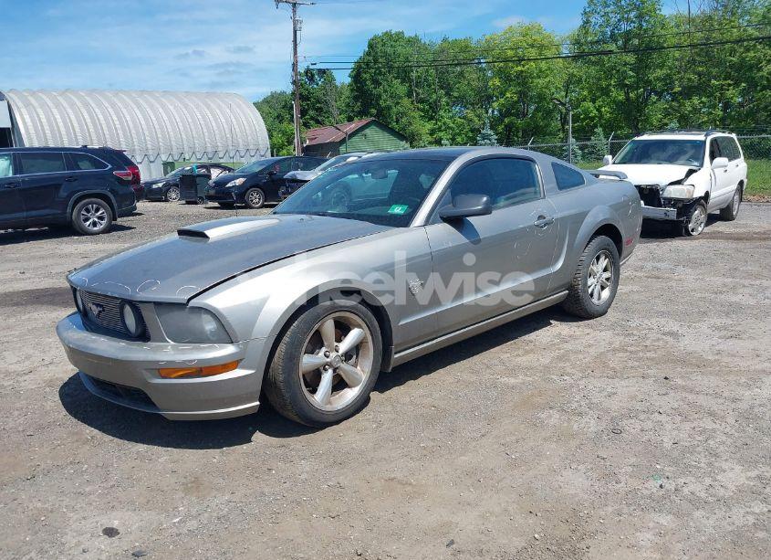 Photo 2 of 2009 Ford Mustang GT/GT PREMIUM (VIN 1ZVHT82H295123520)