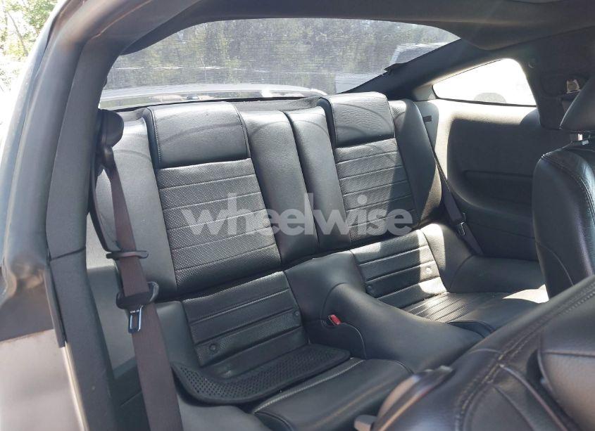 Photo 8 of 2009 Ford Mustang GT/GT PREMIUM (VIN 1ZVHT82H295123520)