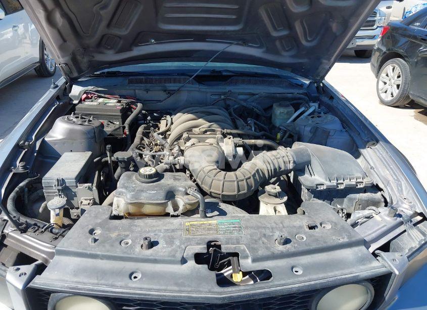 Photo 10 of 2006 Ford Mustang GT (VIN 1ZVHT82H365102834)